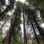 Photo taken by kirsten b