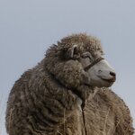 Photo taken by Debby D