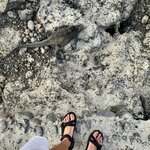 Photo taken by Katarzyna W