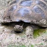 Photo taken by Richard P