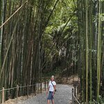 Photo taken by Shelley H