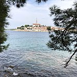 Rovinj  | Photo taken by Cindy w