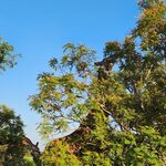 Photo taken by Yin Ling K