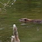 Photo taken by Eric T