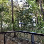 Photo taken by Jaya C