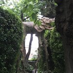 Photo taken by Joan G