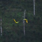 Photo taken by Graeme W