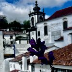 Photo taken by Anna M