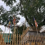 Photo taken by Anisha L