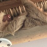 Photo taken by Bonnie Y