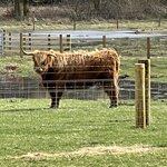 Photo taken by Marcy B