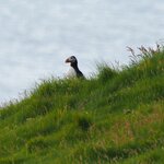 Photo taken by Max F