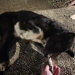 Photo taken by Amy M