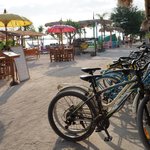 Photo taken by Alexandra G