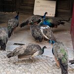 Photo taken by Tom K