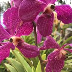 Photo taken by Gillian E