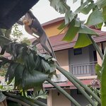 Photo taken by Kelsey S