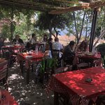 Photo taken by Shawn G