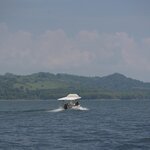 Photo taken by Joyce C