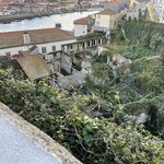 Photo taken by Laura R