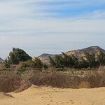 Photo taken by Rozi B