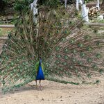 Photo taken by Lana P