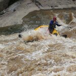 Photo taken by Dianne M