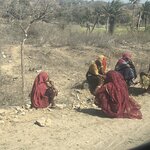 Photo taken by Jacki W