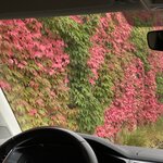 Photo taken by Alberto d