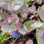 Photo taken by Nan K