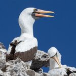 Photo taken by mindy n