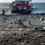 Photo taken by lynn o