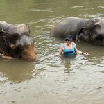 Photo taken by Lisa M