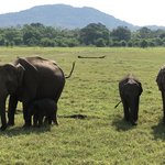 Photo taken by Wendy T