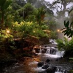 Photo taken by Katie W