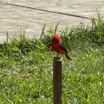 Photo taken by Emily F