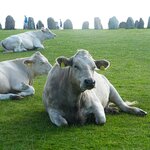 Photo taken by Eric T