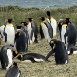 Photo taken by Marcia R