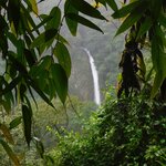 Photo taken by Brett F