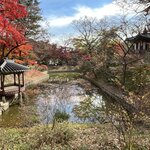 Photo taken by Adrian D