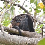 Photo taken by Graeme W