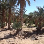 Photo taken by WILLIAM B