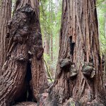 Photo taken by kirsten b