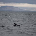 Photo taken by Amanda Z