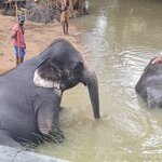 Photo taken by Tanya G