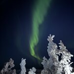 Photo taken by Ellyn V