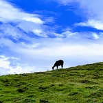 Photo taken by Jon P