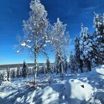 Photo taken by Caitlin P