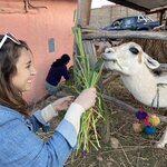 Photo taken by Amanda H