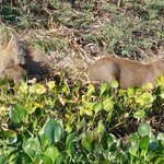 Photo taken by Matt W